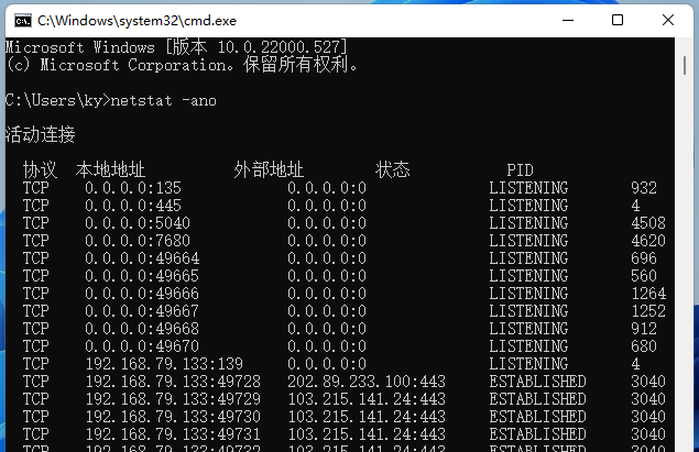 [系统教程]怎么看端口有没有被占用？Win11查看端口是否占用的方法