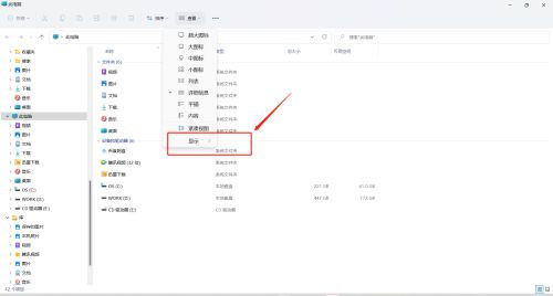 [系统教程]Win11的文件资源管理器如何显示预览窗格？