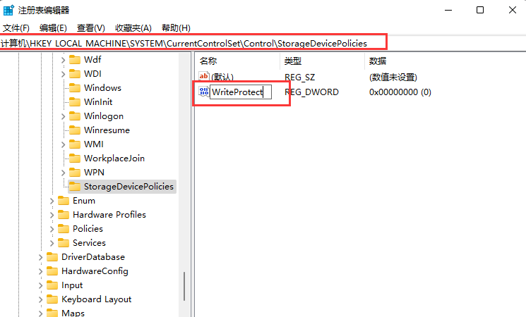 [系统教程]Win11磁盘被写保护怎么办？Win11磁盘被写保护解除方法