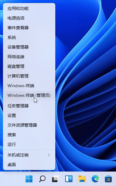 [系统教程]Win11如何查看设备驱动程序版本？