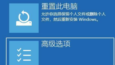 [系统教程]笔记本升级Win11黑屏死机如何解决？