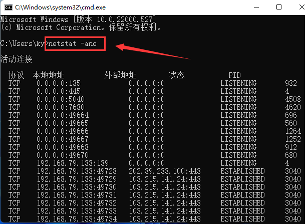 [系统教程]Win11如何查找指定端口信息？Win11查找指定端口信息的技巧