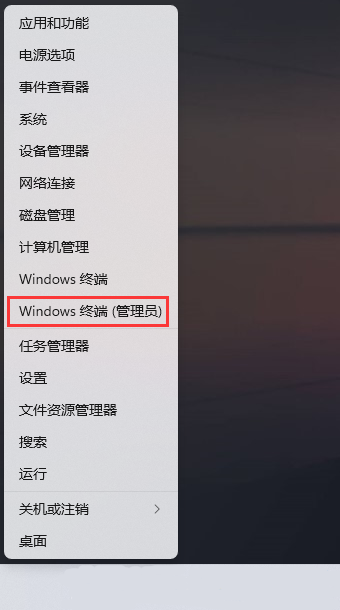 [系统教程]Win11无线适配器或访问点有问题怎么解决？