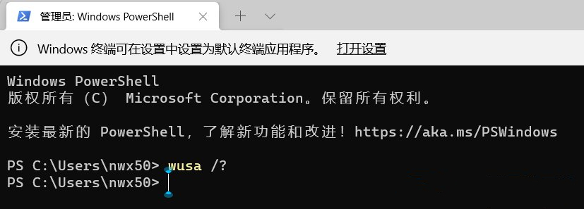 [系统教程]Win11卸载系统补丁命令怎么用？Win11卸载更新命令使用教程