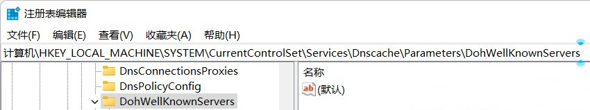 [系统教程]Win11无法DNS加密？Win11首选的DNS加密无法选择的解决方法