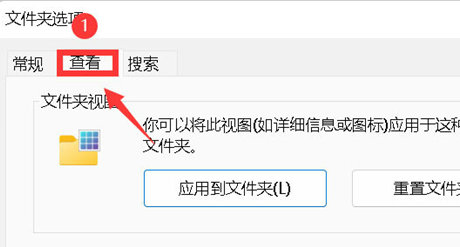 [系统教程]Win11如何开启文件夹缩略图？Win11开启文件夹缩略图的方法