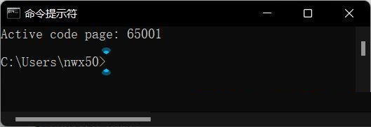 [系统教程]Win11命令窗口中文乱码怎么办？Win11命令窗口中文乱码的解决方法