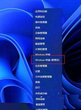 [系统教程]Win11如何安装WSA子系统？Win11安装WSA教程