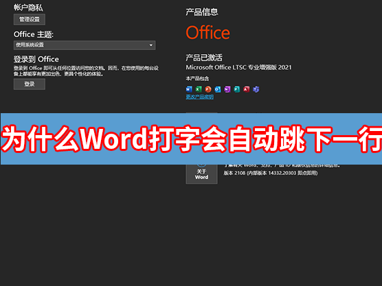 办公软件使用之为什么word打字会自己跳到下一行？