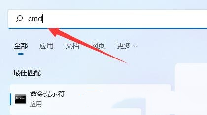 [系统教程]Win11提示Windows无法访问指定设备路径或文件的三种解决方法