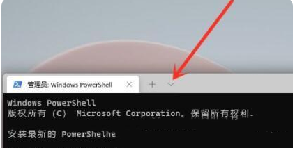 [系统教程]Win11运行cmd提示“请求的操作需要提升”的解决方法