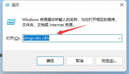 [系统教程]Win11如何查看激活信息？Win11查看激活信息的方法