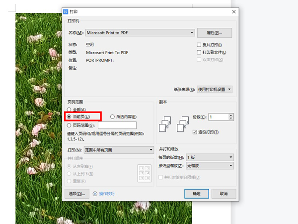 办公软件使用之WPS怎么打印某一页？WPS如何打印其中的一页？