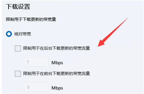 [系统教程]Win11下载速度太慢如何解决？Win11提高下载速度的方法