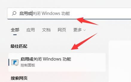 [系统教程]Win11正式版有wsa吗？Win11安装wsa的方法