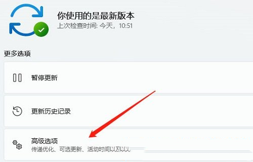 [系统教程]Win11电脑摄像头打开是黑的如何解决？