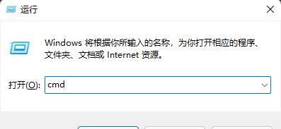 [系统教程]Win11找不到DNS地址怎么办？Win11找不到DNS无法访问网页解决方法