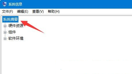 [系统教程]Win11电脑内存怎么看？Win11查看电脑内存信息的方法