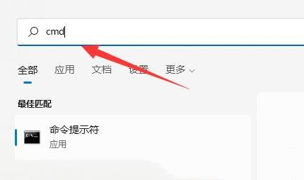 [系统教程]Win11电脑内存怎么看？Win11查看电脑内存信息的方法