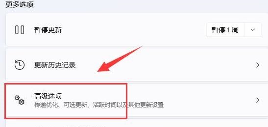 [系统教程]Win11系统怎么限制后台下载更新的速度？