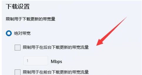 [系统教程]Win11系统怎么限制后台下载更新的速度？