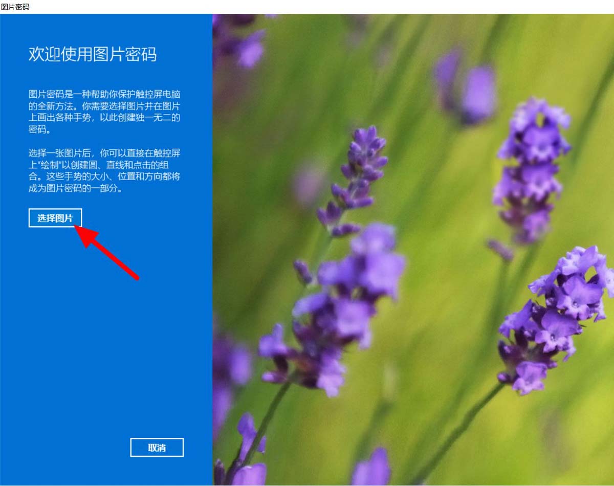 [系统教程]Win11如何设置图片密码？Win11设置图片密码的方法