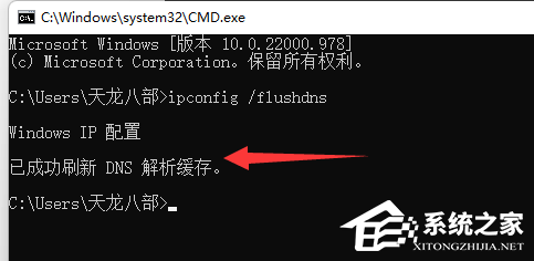 [系统教程]Win11系统dns异常无法上网怎么办？Win11dns异常无法上网的解决方法