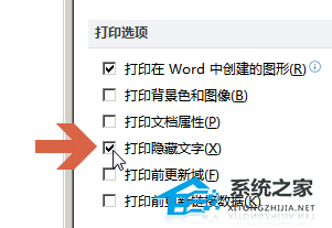 办公软件使用之Word文档隐藏文字怎么打印出来？