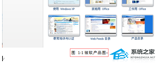 办公软件使用之Word如何添加题注？Word2010添加题注的方法