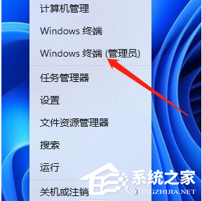 [系统教程]Win11系统关闭VBS功能的操作方法教学