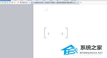 办公软件使用之WPS文字中如何输入大括号小括号教学分享