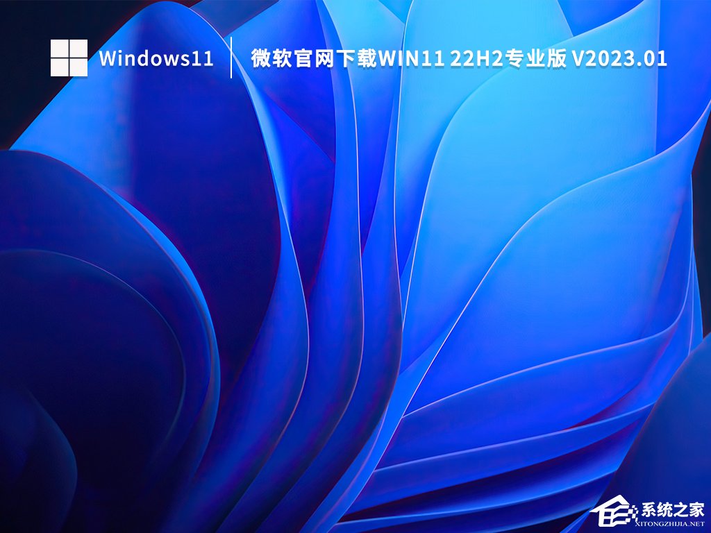 微软Win11专业版(22H2)