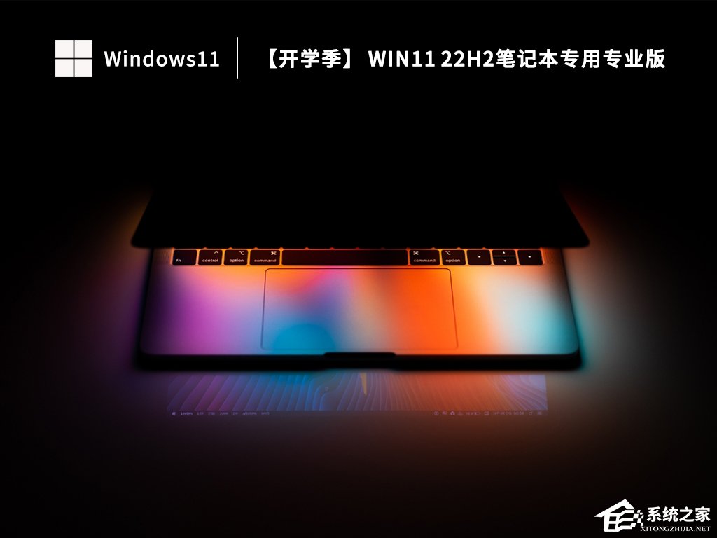 [系统教程]2023笔记本电脑系统Win11 22H2专业激活版(各品牌均适用)