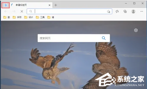 [系统教程]Win11系统edge浏览器标签页自动弹出怎么回事？