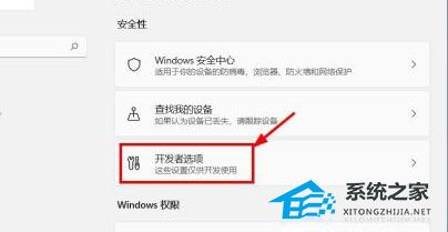 [系统教程]Win11如何关闭开发者模式？Win11关闭开发者模式的方法