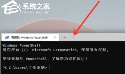 [系统教程]Win11怎么打开运行窗口？Win11运行命令怎么调出来操作教学