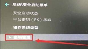 [系统教程]Win11玩fifa23提示未启用安全启动怎么办？