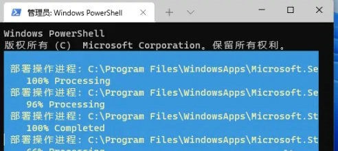 [系统教程]Win11精简版怎么恢复应用商店？Win11精简版应用商店找不到解决方法