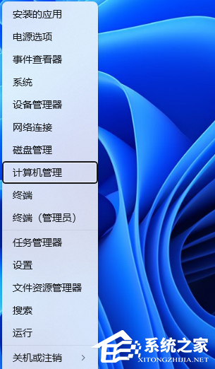 [系统教程]Win11待机唤醒后网络无法使用怎么回事？