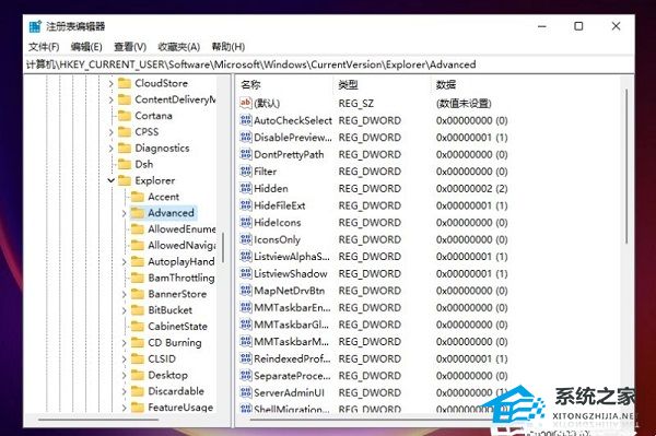 [系统教程]Win11任务栏大小无法调整怎么办