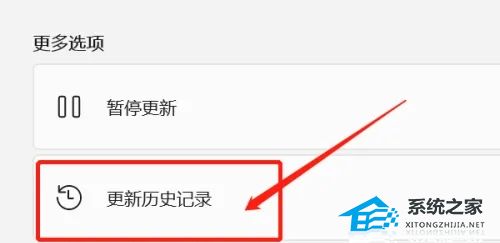 [系统教程]电脑上如何查看Win11系统的更新历史记录