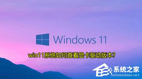 [系统教程]Win11如何查看显卡驱动版本