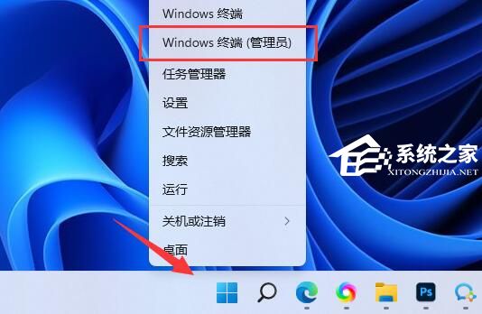 [系统教程]Win11怎么安装微软商店-Microsoft Store的安装方法